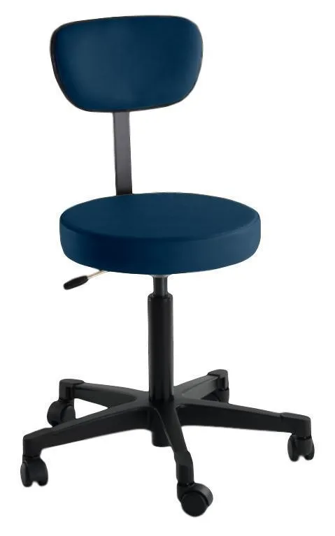 4246 Pneumatic Stool with Back