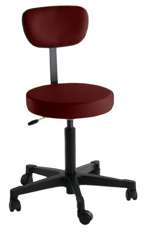 4246 Pneumatic Stool with Back