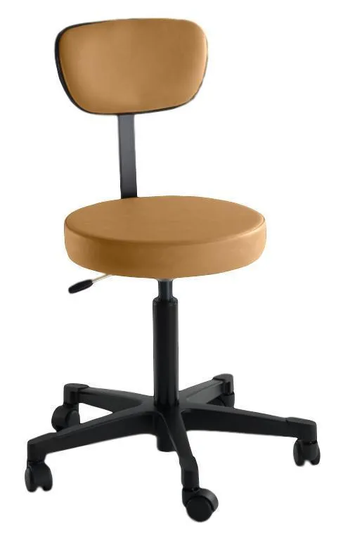 4246 Pneumatic Stool with Back