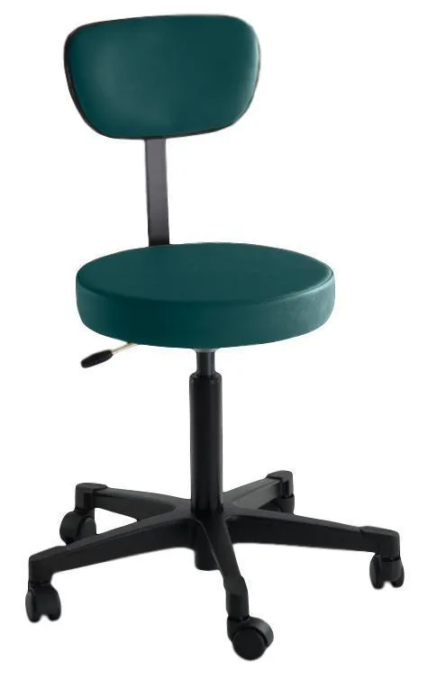 4246 Pneumatic Stool with Back