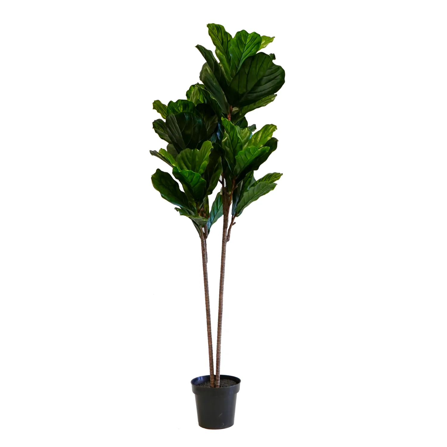 Artificial Fiddle Leaf Tree