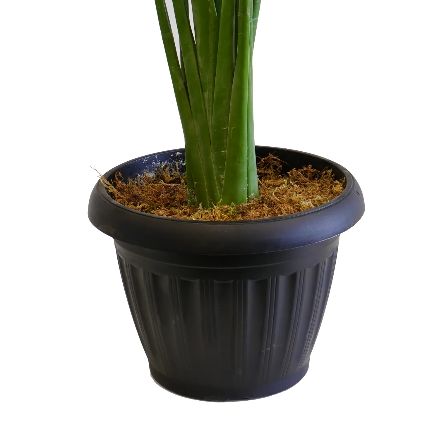 Artificial Palm Plant