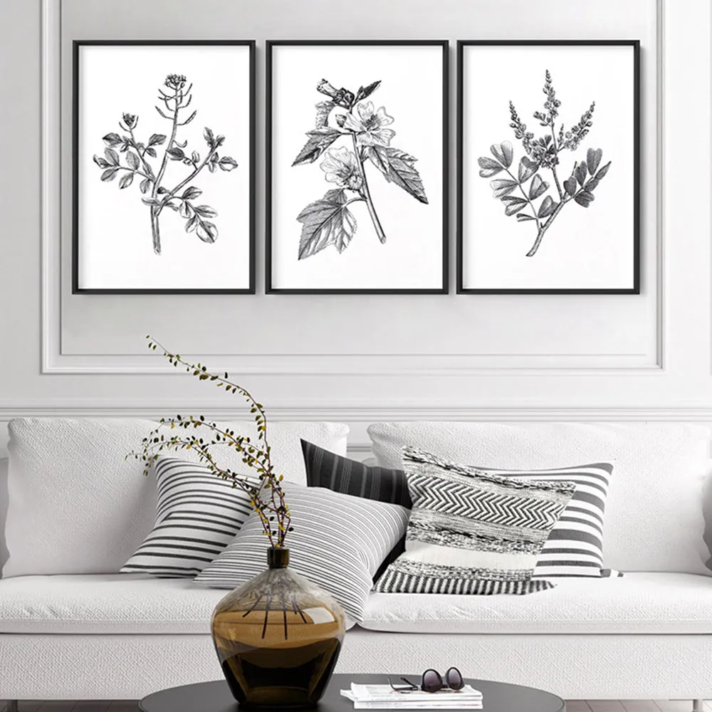 Botanical Floral Illustration III - Art Print