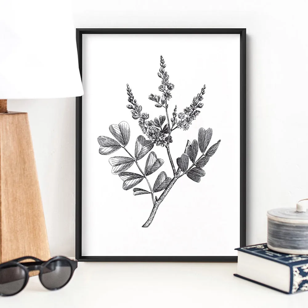 Botanical Floral Illustration III - Art Print