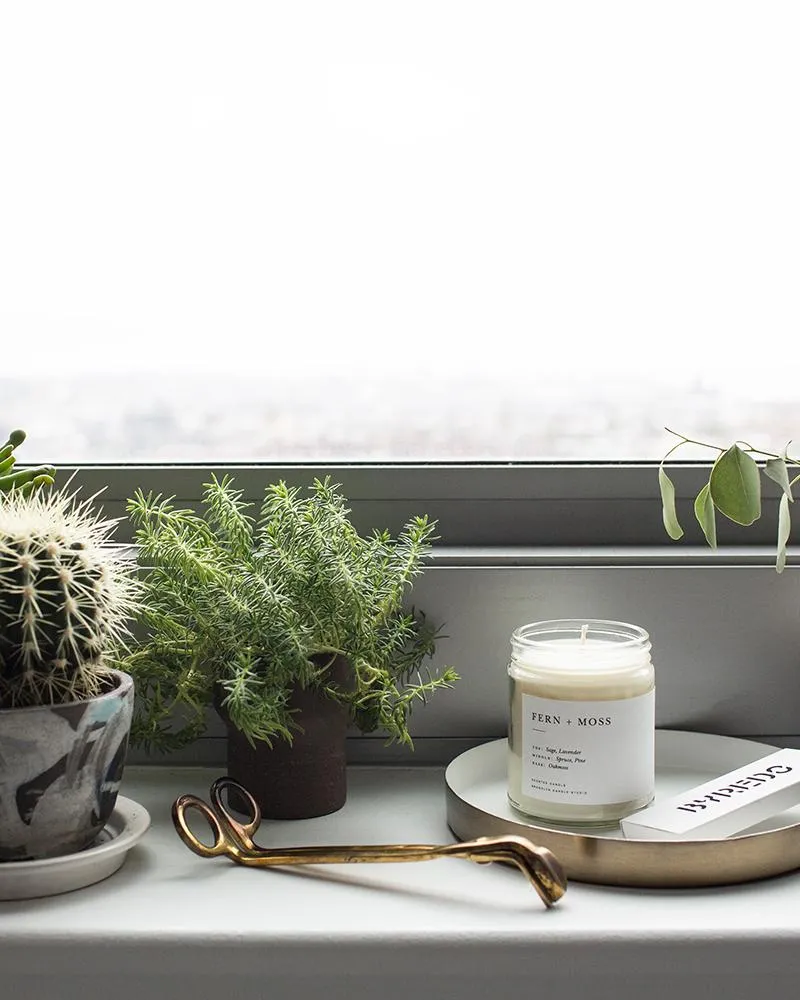 Brooklyn Candle Studio FERN   MOSS Minimalist Candle