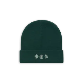 Foliage Beanie - Pine