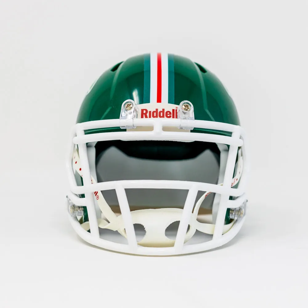 Franchise IPA Mini Riddell Football Helmet