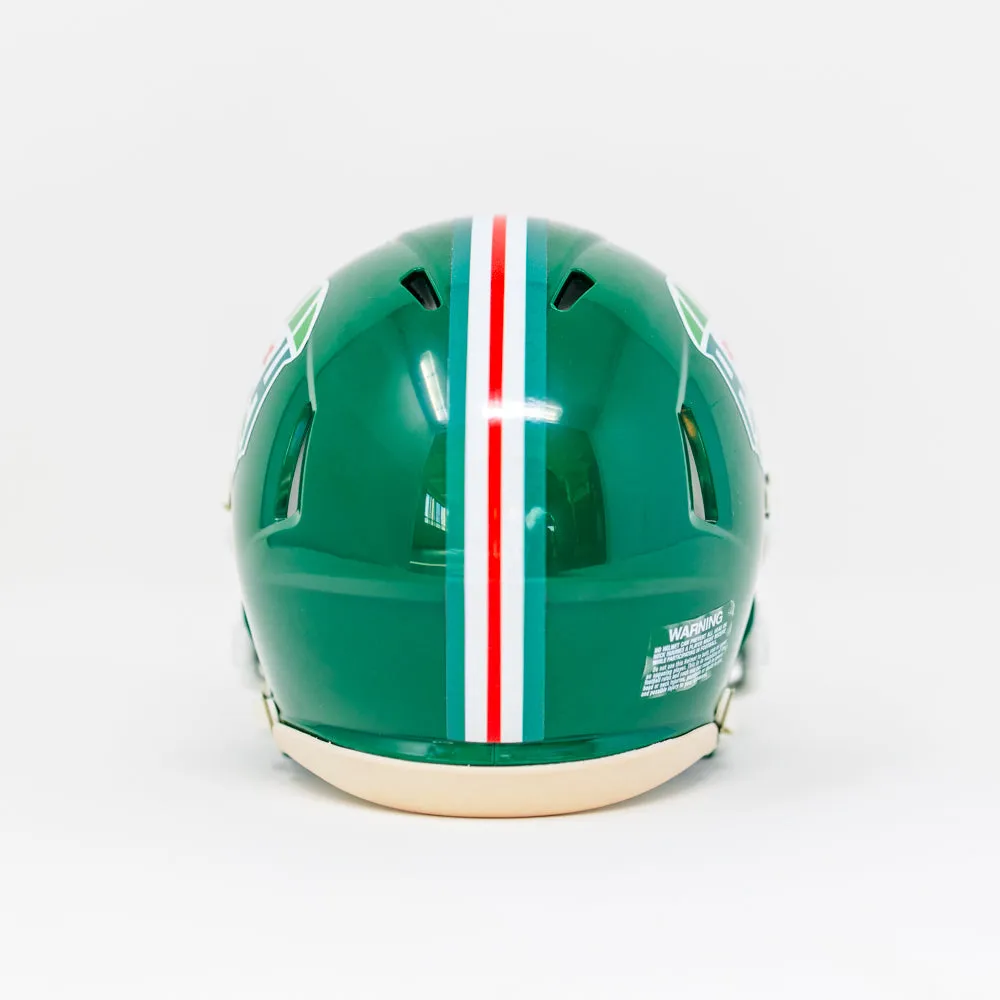 Franchise IPA Mini Riddell Football Helmet